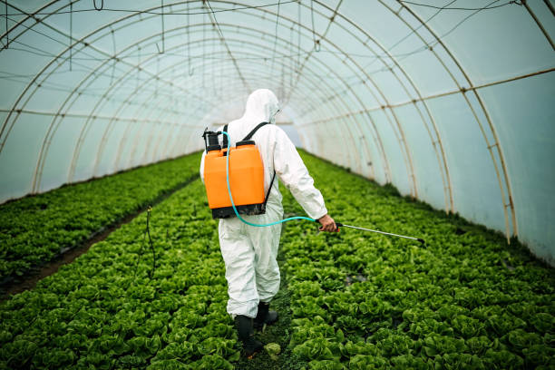 Best Pest Prevention Services  in Flomaton, AL