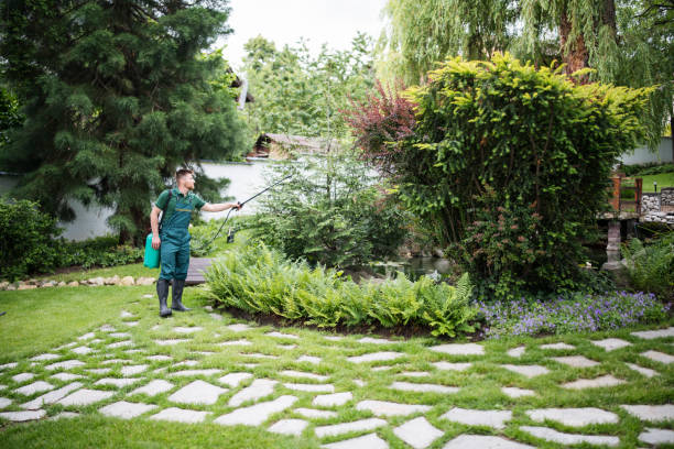 Best Ant Control Services  in Flomaton, AL