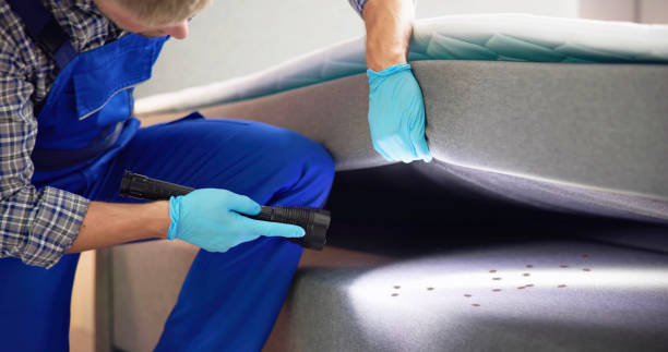 Best Bed Bug Extermination  in Flomaton, AL