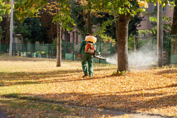 Reliable Flomaton, AL Pest Control Solutions