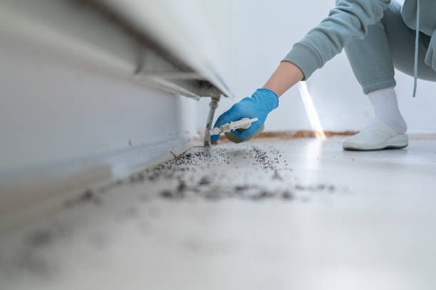 Wildlife Control Services in Flomaton, AL